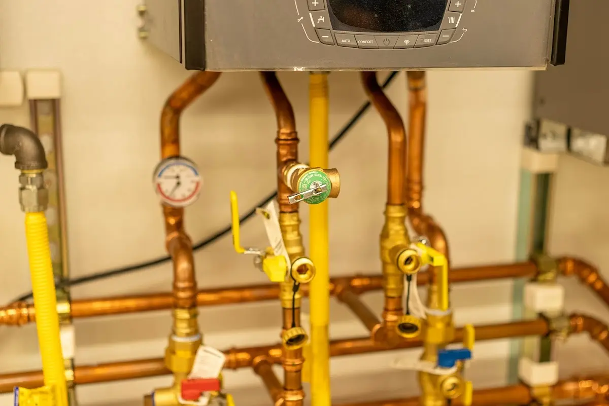 Licensed technician providing Sump Pump Repair for a homeowner in Monitor